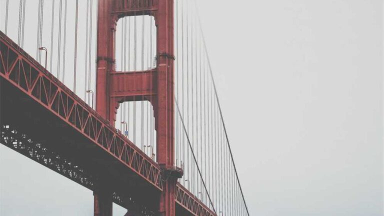 How To Do Cricket Betting On Cricbet99?